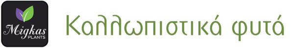 kallopistika-fyta