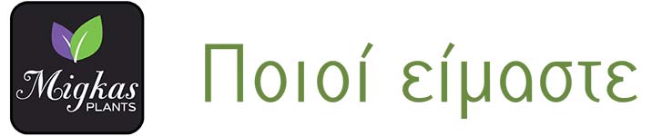 poioi-eimaste-title
